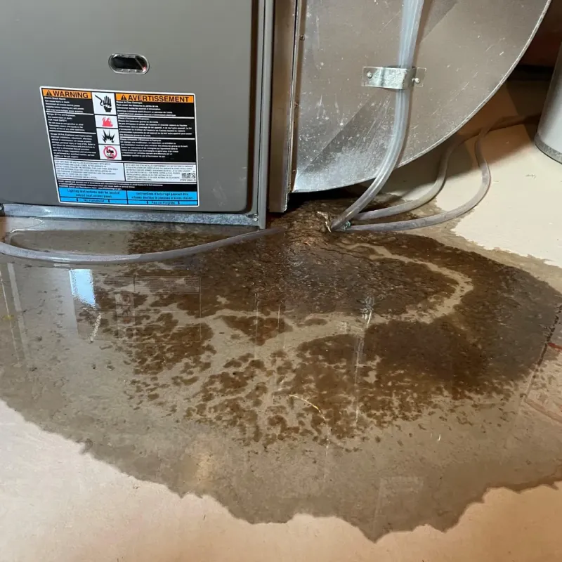 Appliance Leak Cleanup in Boone County, IN